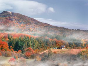 mikroklimat Bieszczady